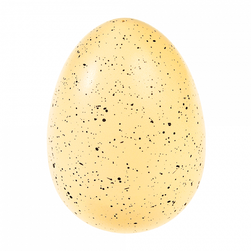 Uovo di Dinosauro Gigante da Far Schiudere – Rex London