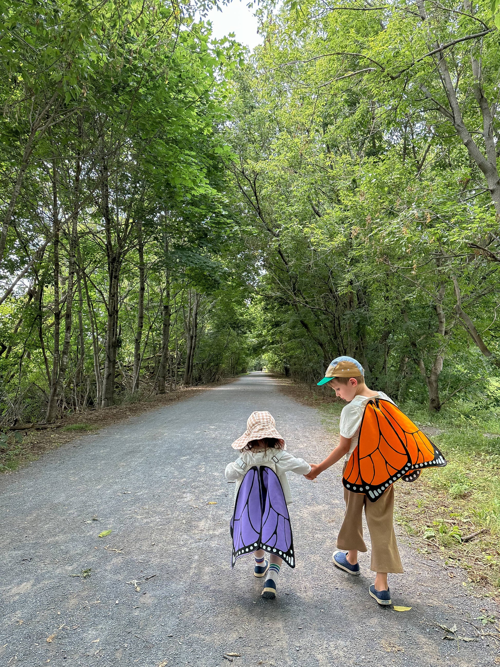 Orange Monarch Butterfly Costume Wings - Apple Pie