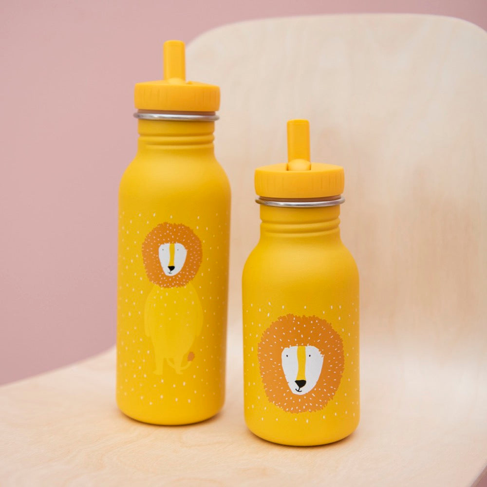 Borraccia in acciaio Trixie Mr. Leone 500ml - Apple Pie