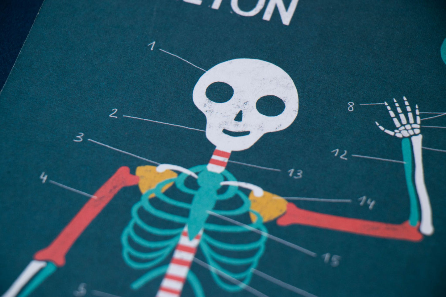 Londji Gioco Inside Me - Conosci te stesso - Apple Pie