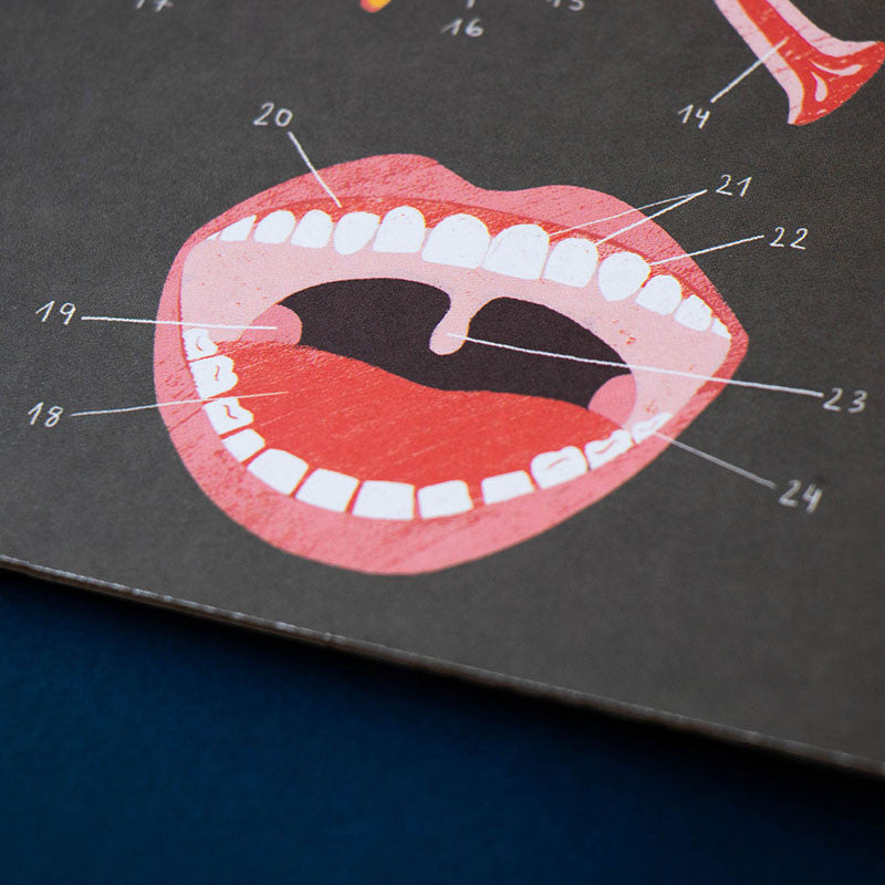 Londji Gioco Inside Me - Conosci te stesso - Apple Pie