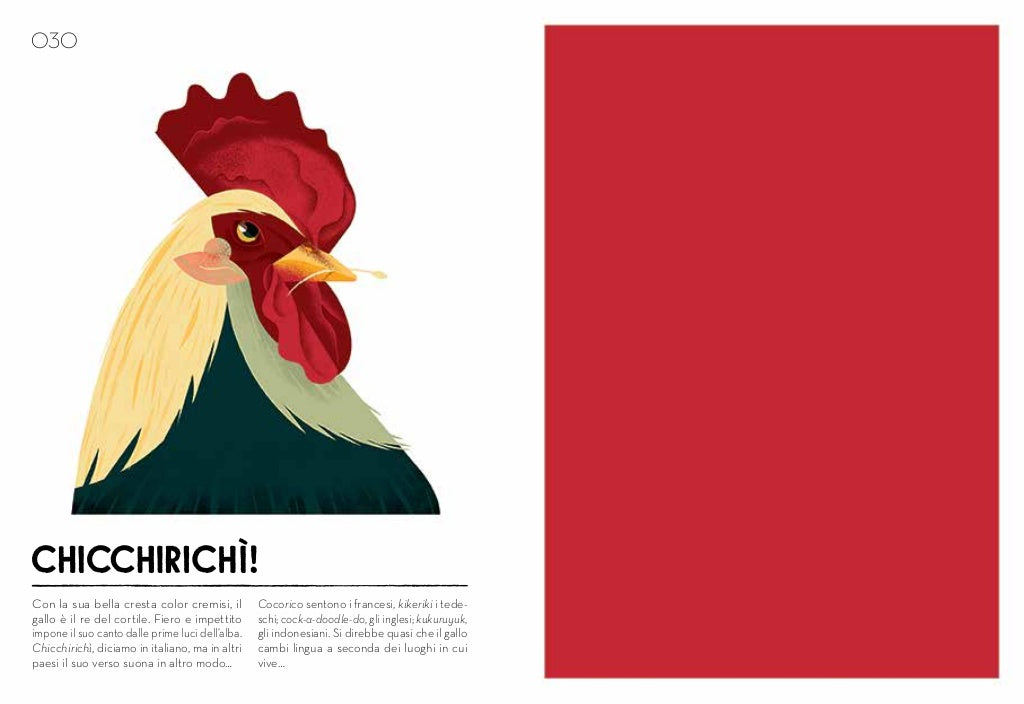 Libro "Colorama" - Apple Pie