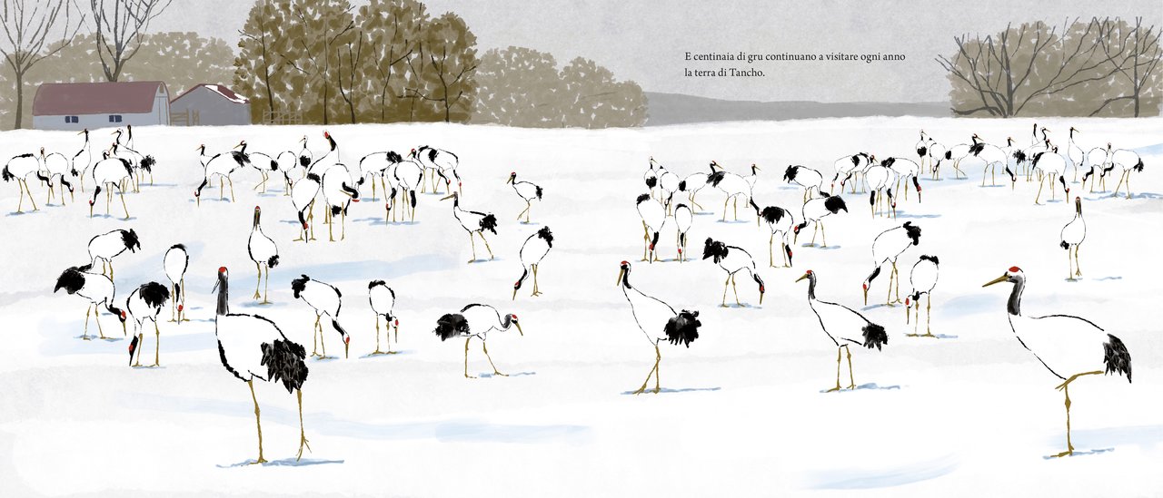 Libro "Tancho" - Apple Pie