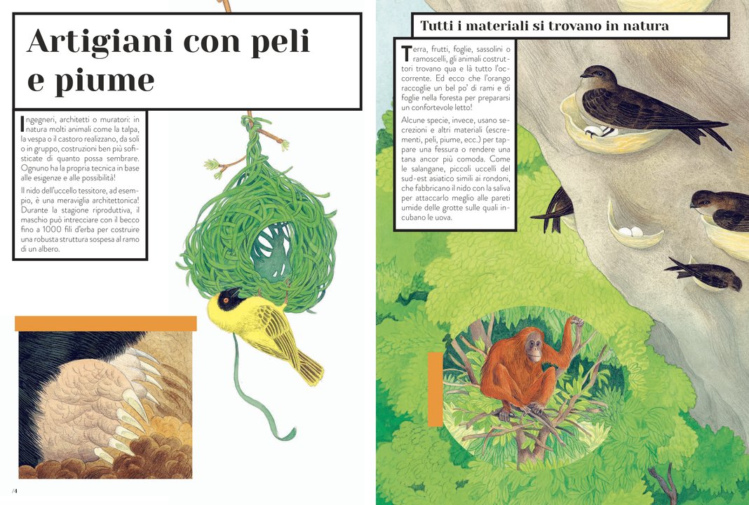 Libro "Animale tuttofare" - Apple Pie