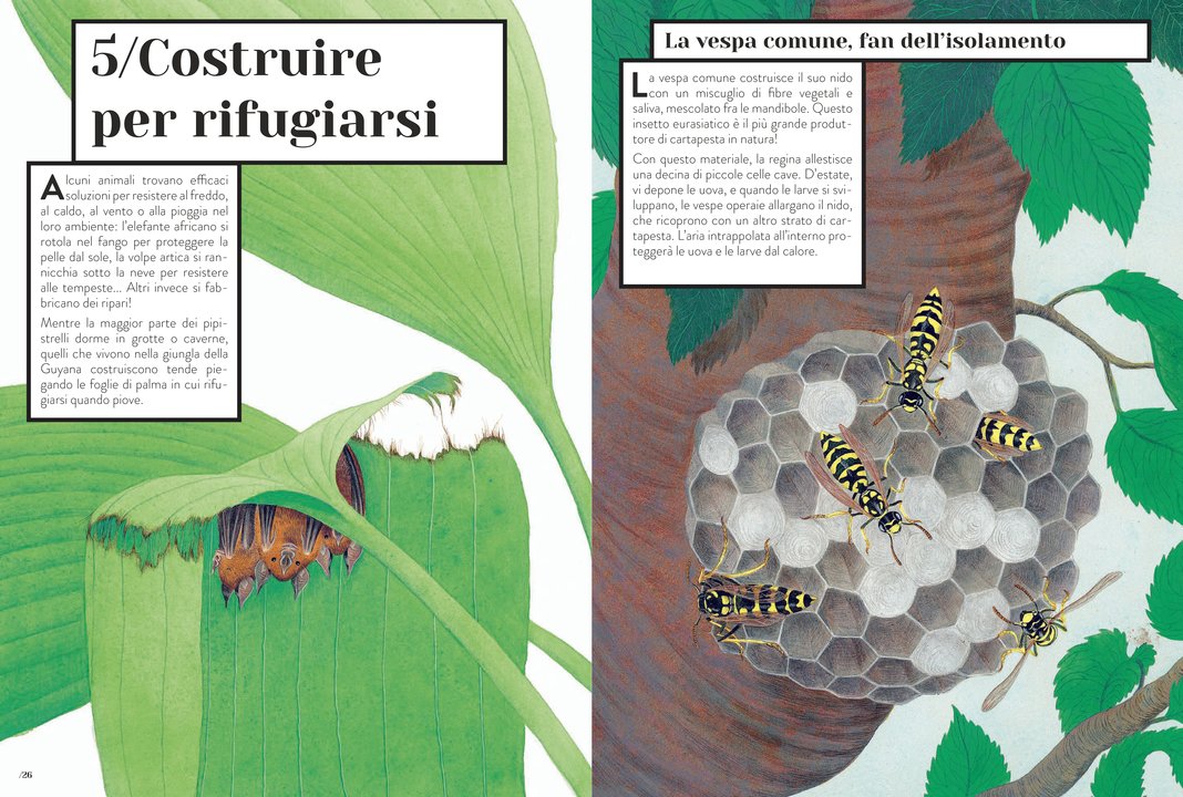 Libro "Animale tuttofare" - Apple Pie