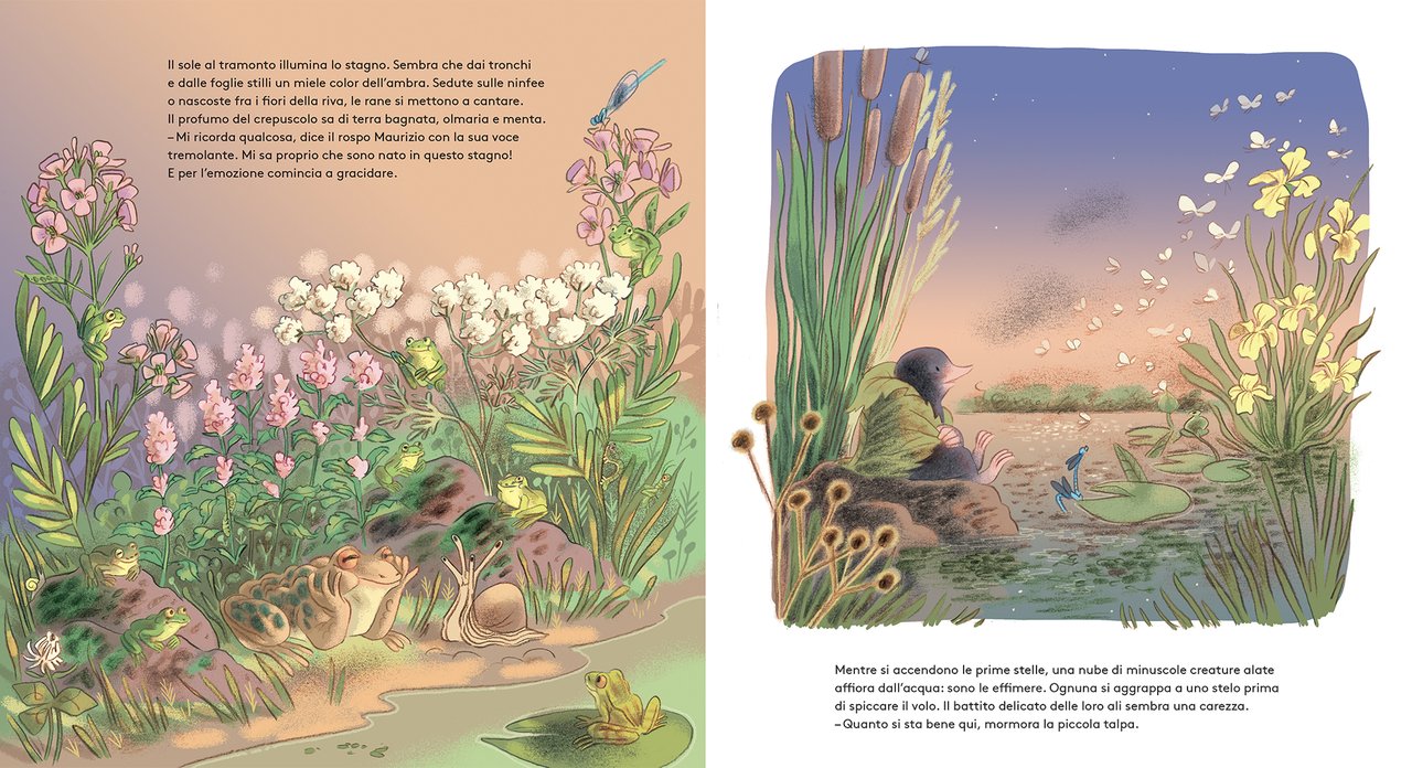 L'Ippocampo Libro "Magda e il piccolo mondo dello stagno" - Apple Pie