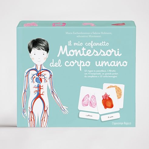 Il Mio Cofanetto Montessori Del Corpo Umano - Apple Pie