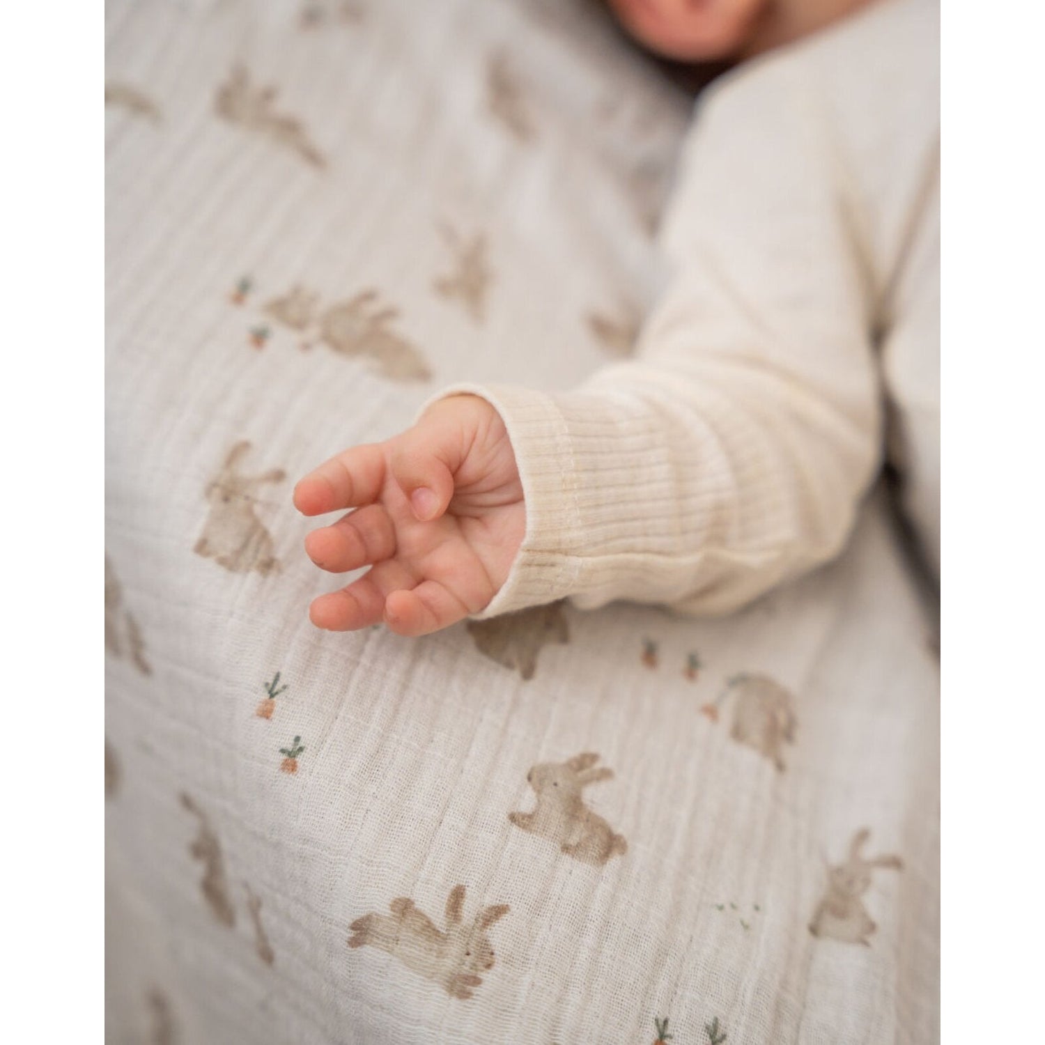 Copertine e Swaddle