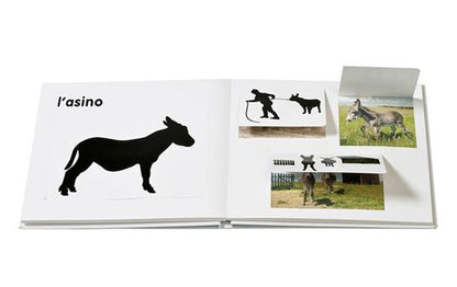 Ippocampo " Gli Animali della Fattoria" di François Delebecque