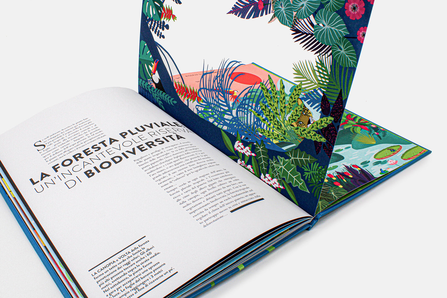 Libro "Mondo Vegetale"- con linguette da sollevare - Apple Pie