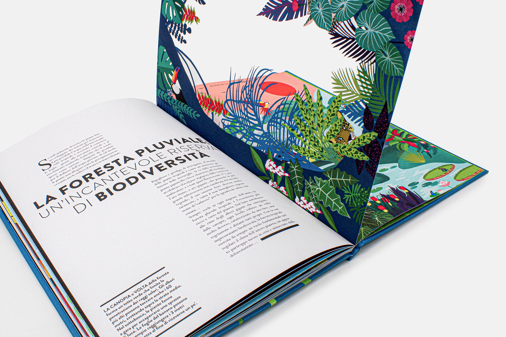 Libro "Mondo Vegetale"- con linguette da sollevare - Apple Pie