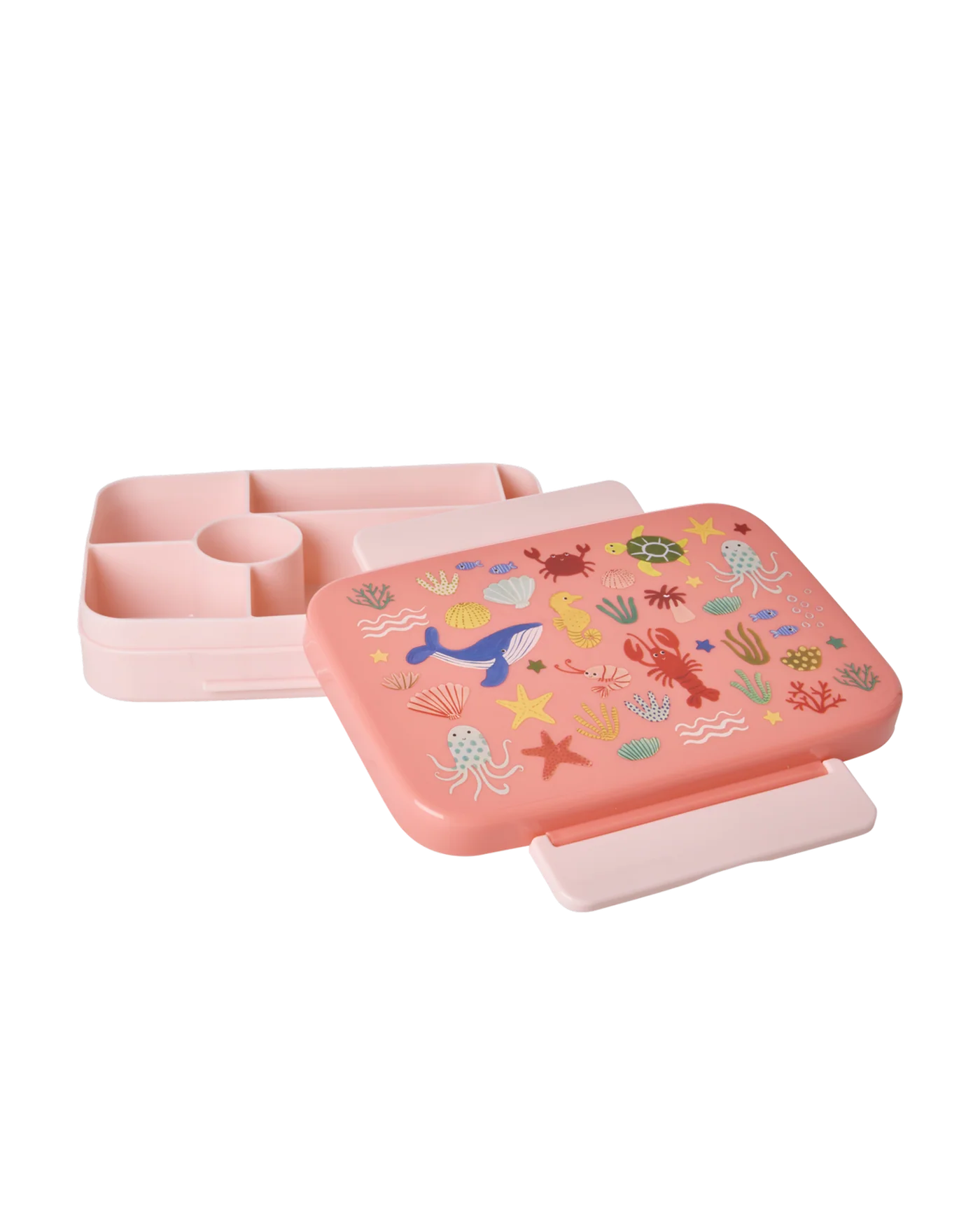 Lunch Box Rice Ocean Print Corallo con 6 Scomparti