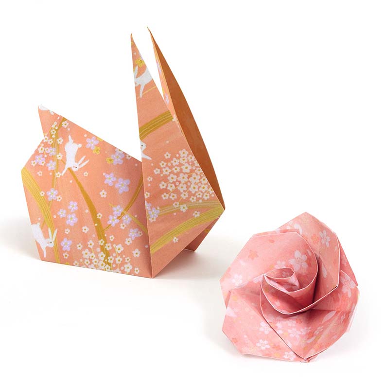 Djeco 100 Fogli per Origami 5-8 anni Haru - Apple Pie