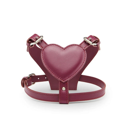 Pettorina in Pelle a Cuore Imbottita Baurdelle Made in Italy – Heart Harness
