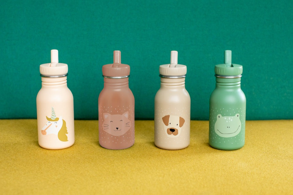 Trixie Borraccia 350 ml Mrs. Cat – Bottiglia in acciaio inox per bambini