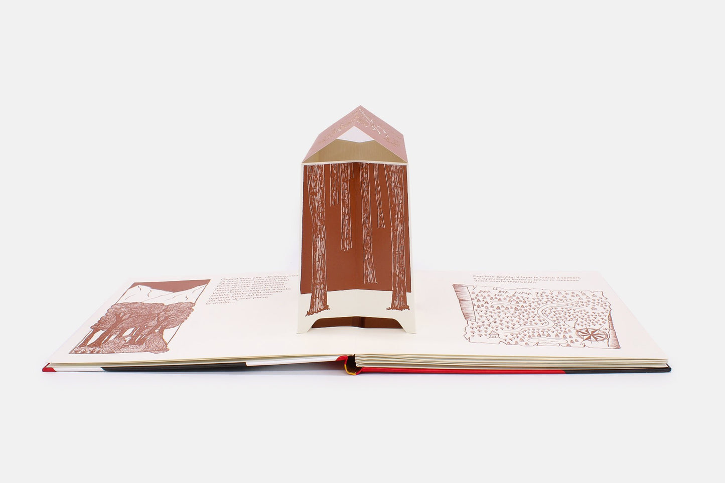 L'Ippocampo Libro " Cappuccetto Rosso" - Il piccolo teatro d'ombre - Apple Pie