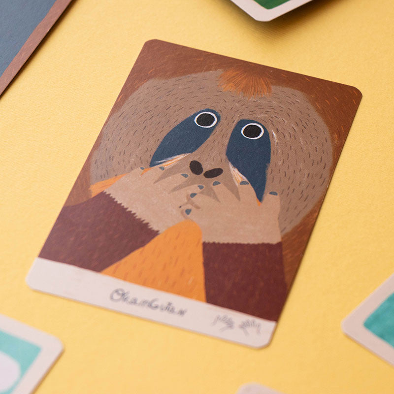 Gioco di società Orangutan - Apple Pie