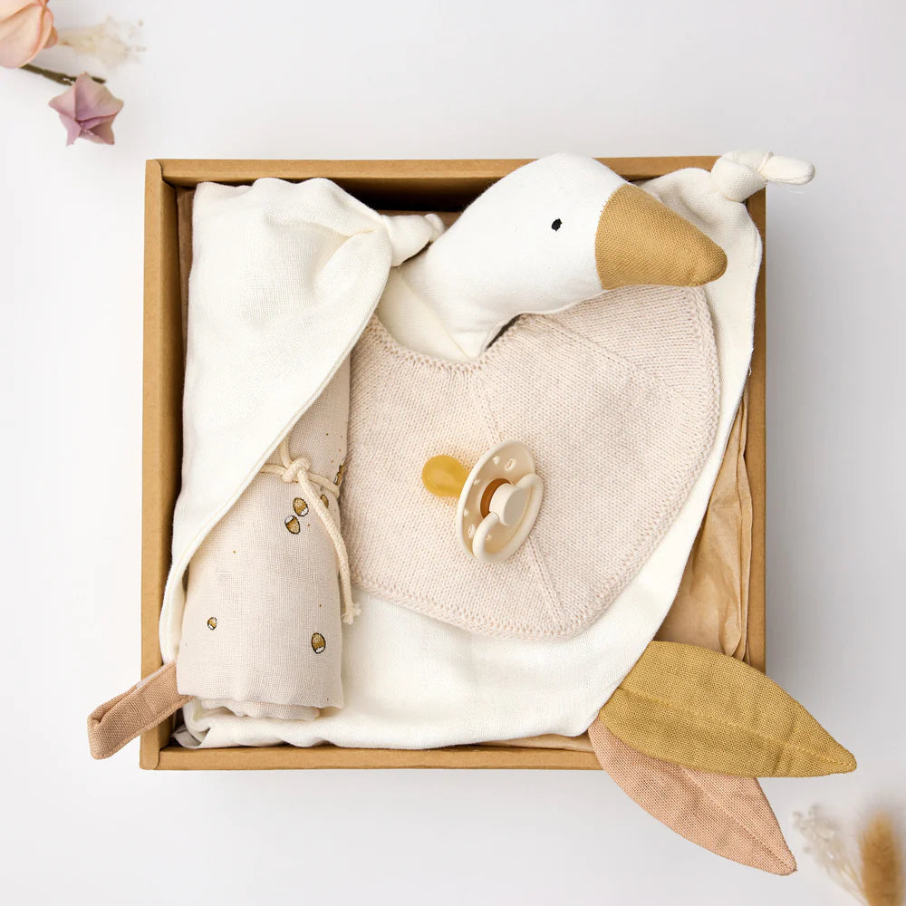 Cofanetto Regalo con Set Nascita in cotone bio - Vanilla Ice - Dolce e spiritoso - Apple Pie