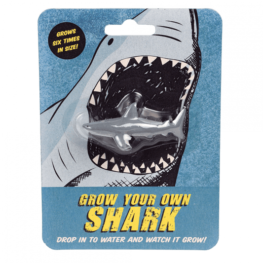 Squalo magico che cresce nell’acqua – Rex London