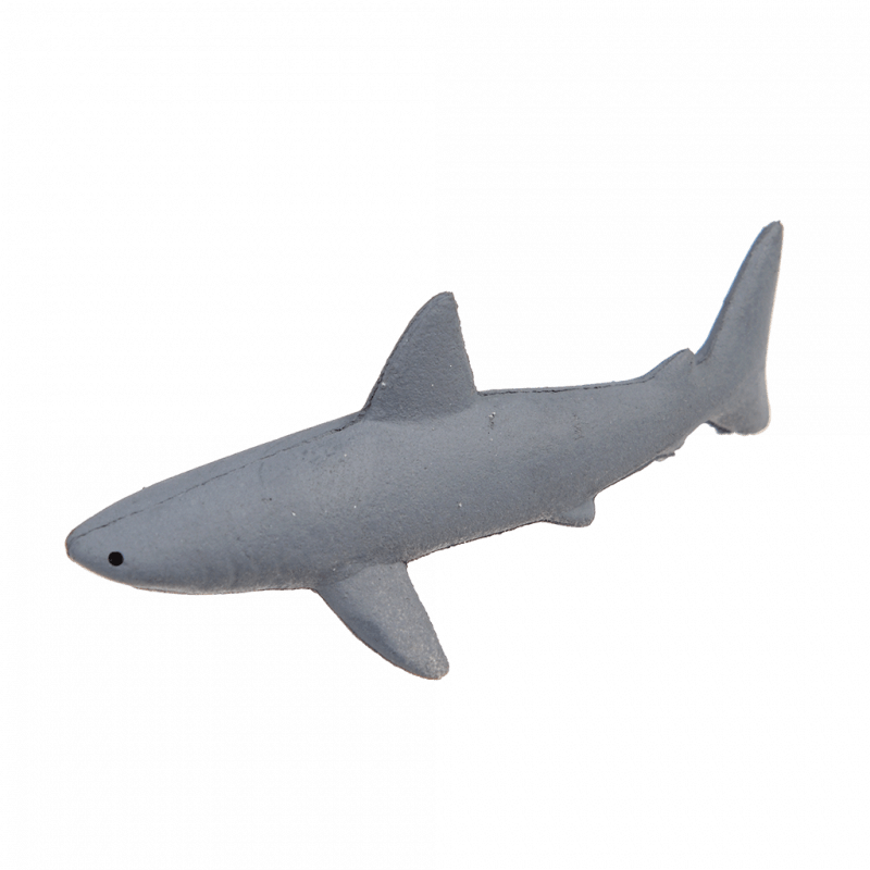 Squalo magico che cresce nell’acqua – Rex London