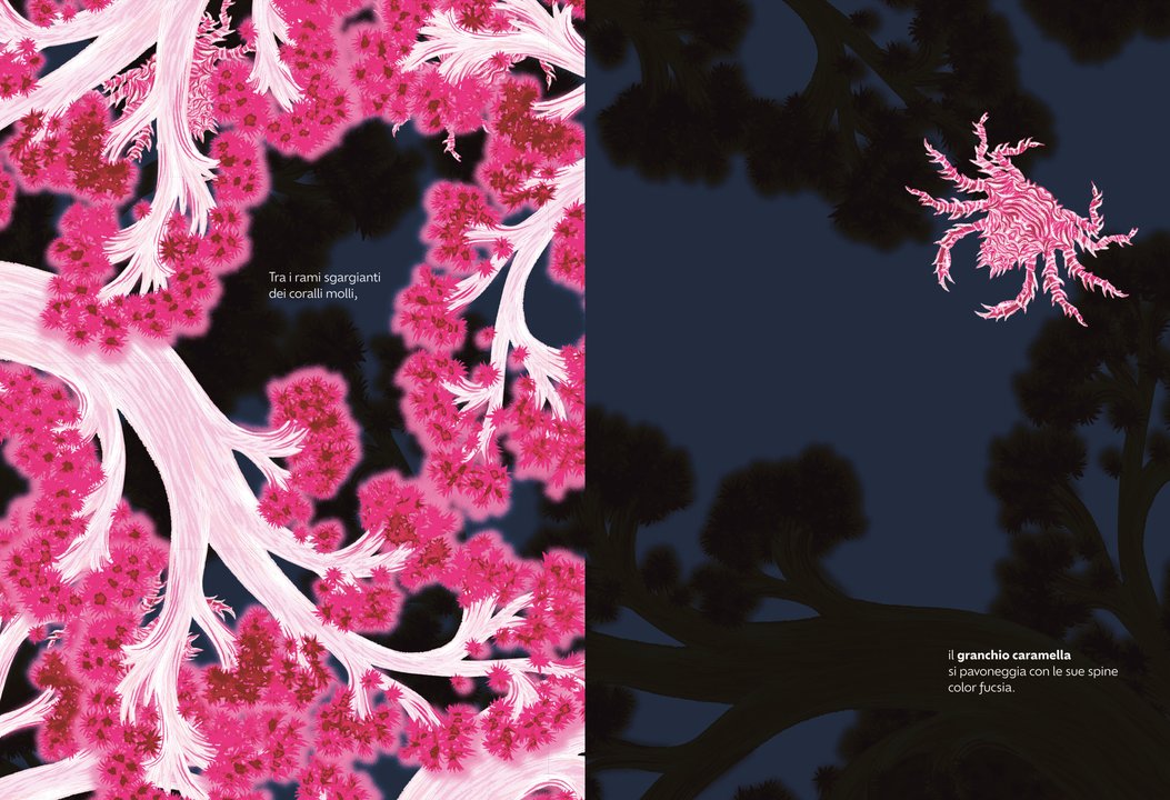 Libro Bambini Nascosti – Animali e Camuffamenti | Ippocampo