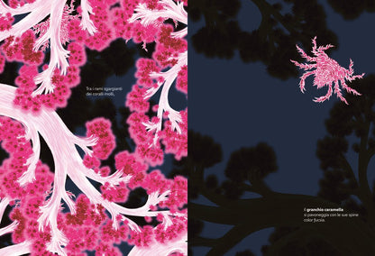 Libro Bambini Nascosti – Animali e Camuffamenti | Ippocampo