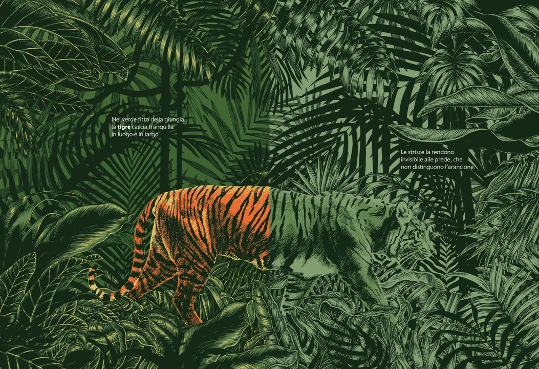 Libro Bambini Nascosti – Animali e Camuffamenti | Ippocampo