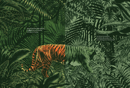 Libro Bambini Nascosti – Animali e Camuffamenti | Ippocampo