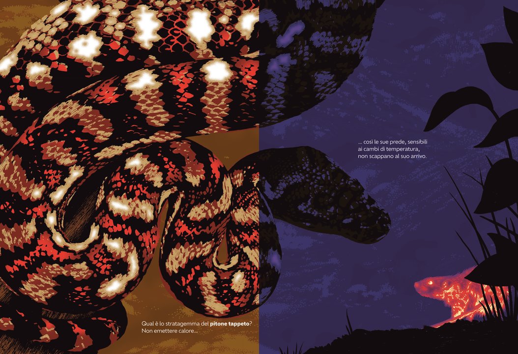 Libro Bambini Nascosti – Animali e Camuffamenti | Ippocampo