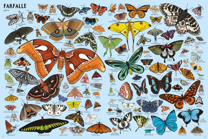 Libro Bambini Tanti Tantissimi Animali | Ippocampo