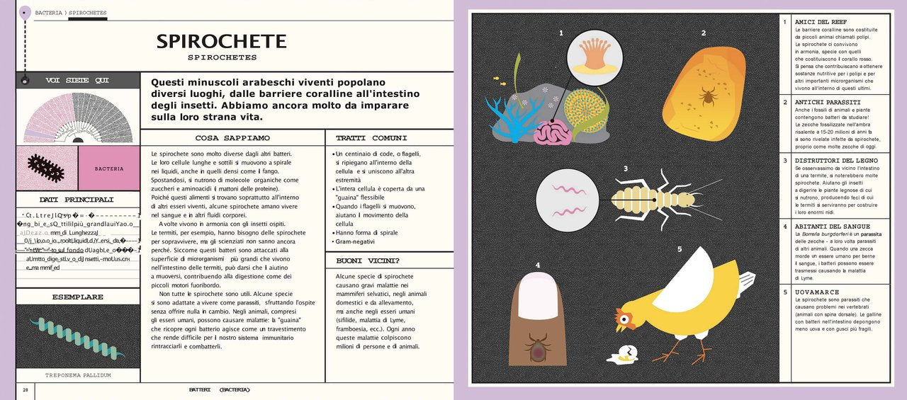 Libro " L'albero della vita - Alla scoperta della biodiversità" - Apple Pie