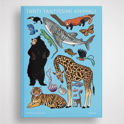 Libro bambini Tanti Tantissimi Animali Ippocampo grande bestiario illustrato