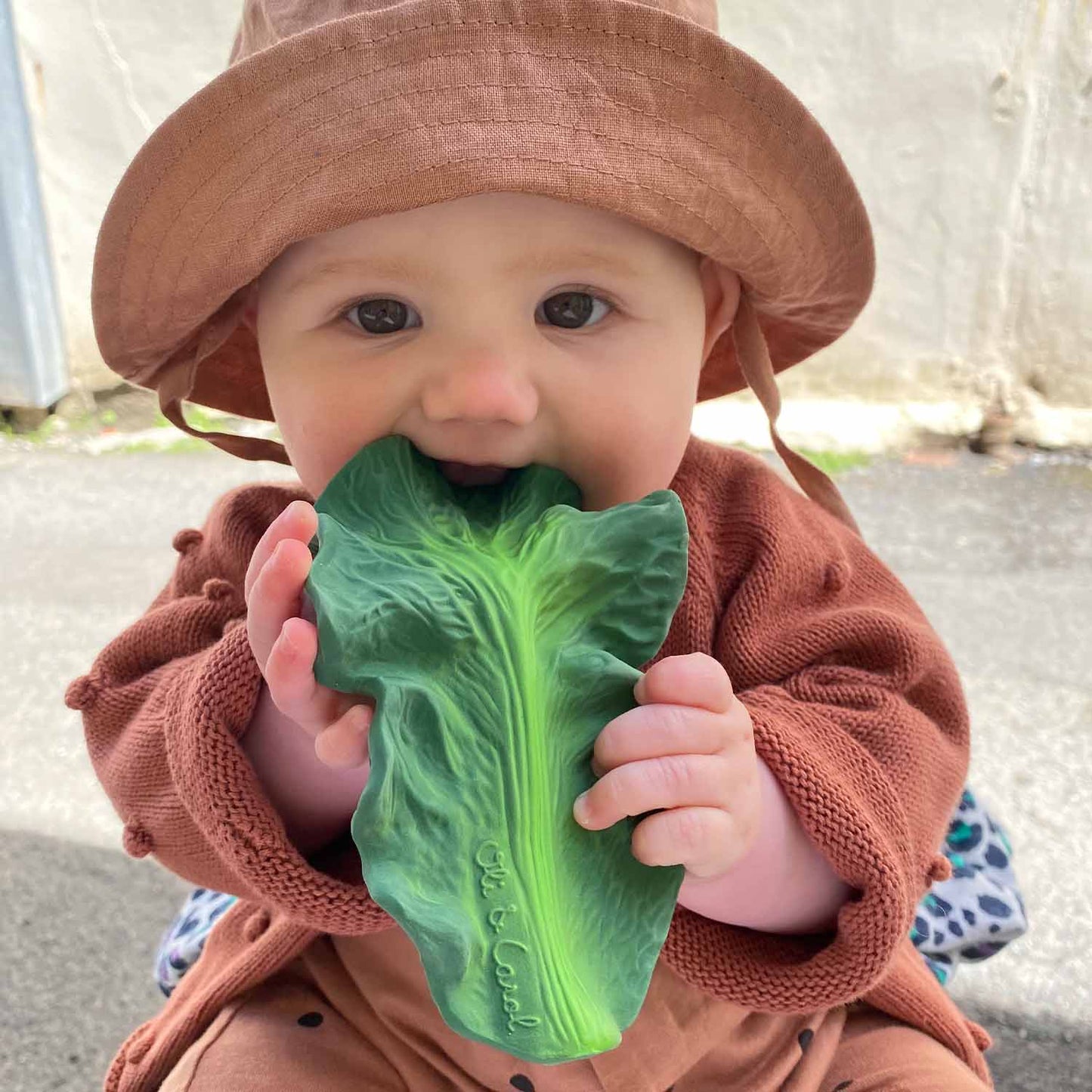 Baby teether a forma di cavolo kale senza fori, sicuro e igienico