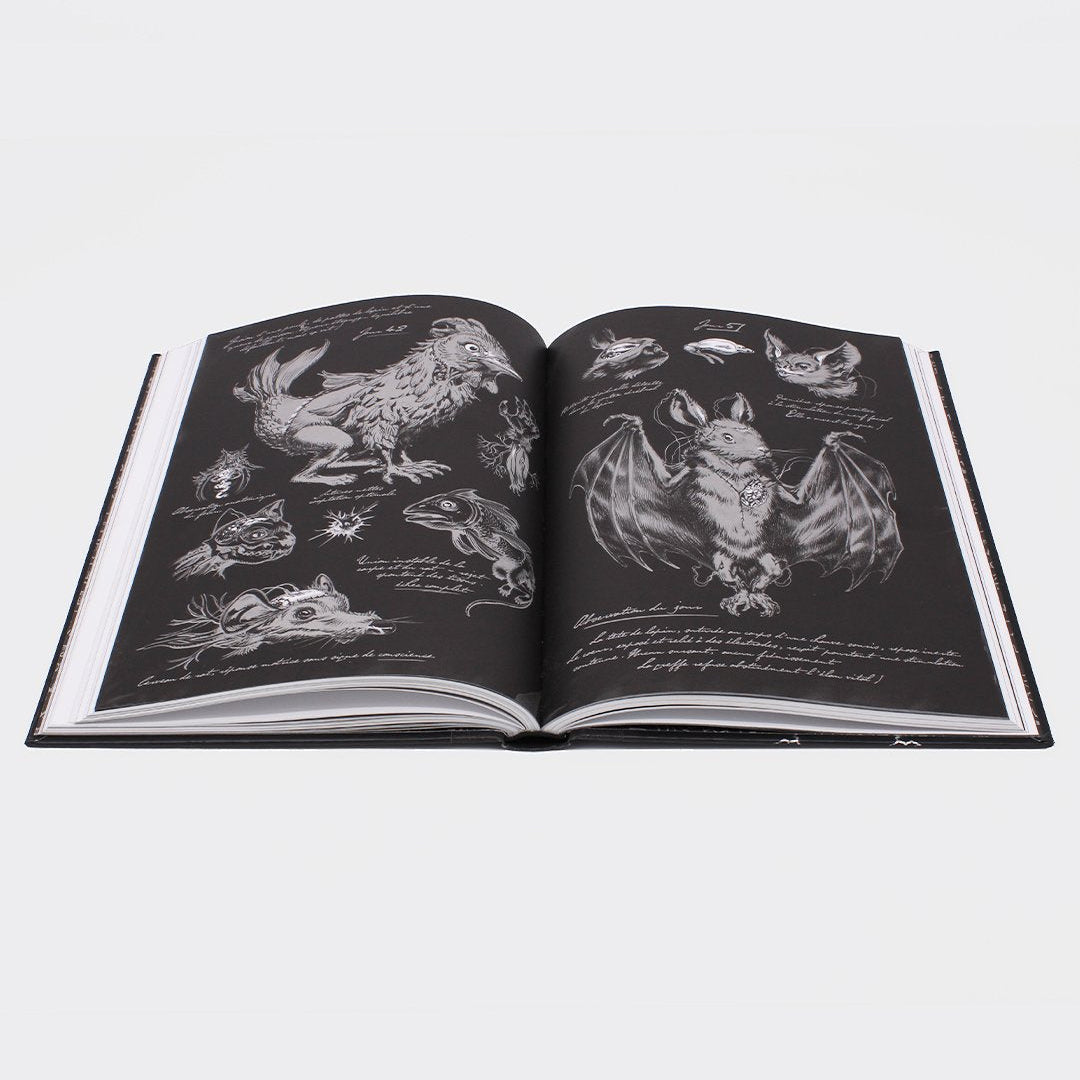 Ippocampo – Frankenstein | Mary Shelley, Illustrato da Stan Manoukian 10+