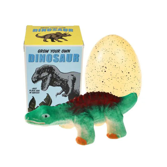 Uovo di dinosauro gigante Rex London da far schiudere in acqua