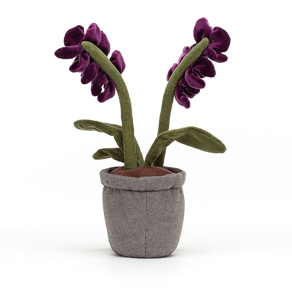 Peluche Orchidea Viola - Apple Pie