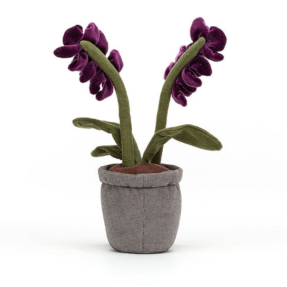 Peluche Orchidea Viola - Apple Pie