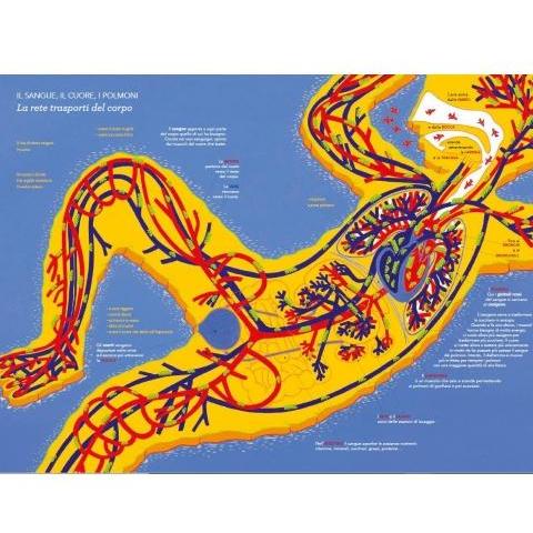 Libro "Esplora il Tuo Corpo" - Apple Pie