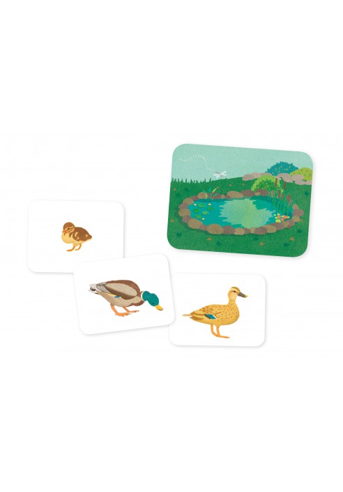 I Piccoli Montessori "gli animali della fattoria e i loro piccoli" - Apple Pie
