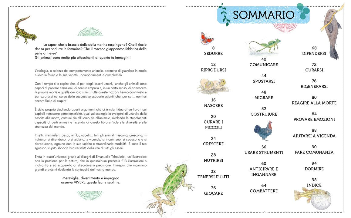 L'Ippocampo Libro "Vivere - Uno Sguardo Nuovo sugli Animali" - Apple Pie