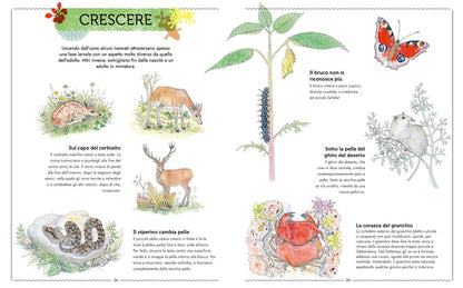 L'Ippocampo Libro "Vivere - Uno Sguardo Nuovo sugli Animali" - Apple Pie
