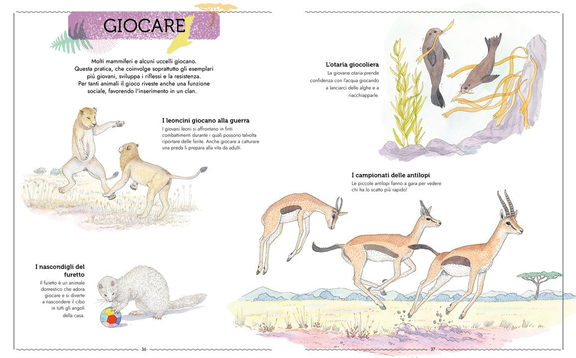 L'Ippocampo Libro "Vivere - Uno Sguardo Nuovo sugli Animali" - Apple Pie