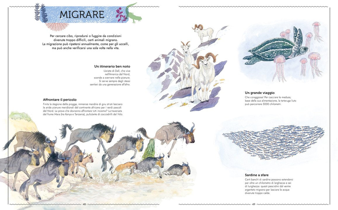 L'Ippocampo Libro "Vivere - Uno Sguardo Nuovo sugli Animali" - Apple Pie