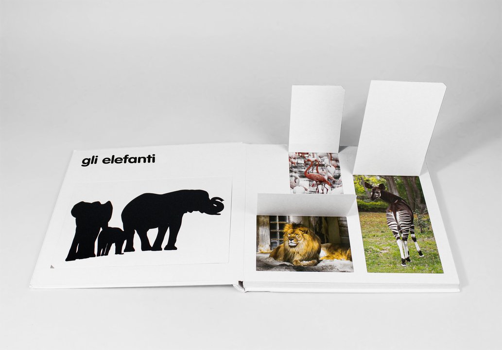 Libro " Gli Animali Selvaggi" - Apple Pie