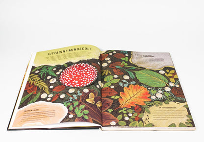 Libro " Regni Minuscoli " - Apple Pie