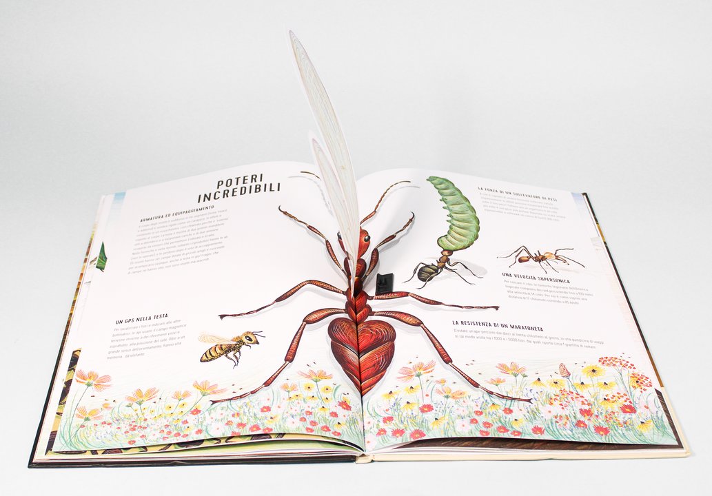 Libro " Regni Minuscoli " - Apple Pie