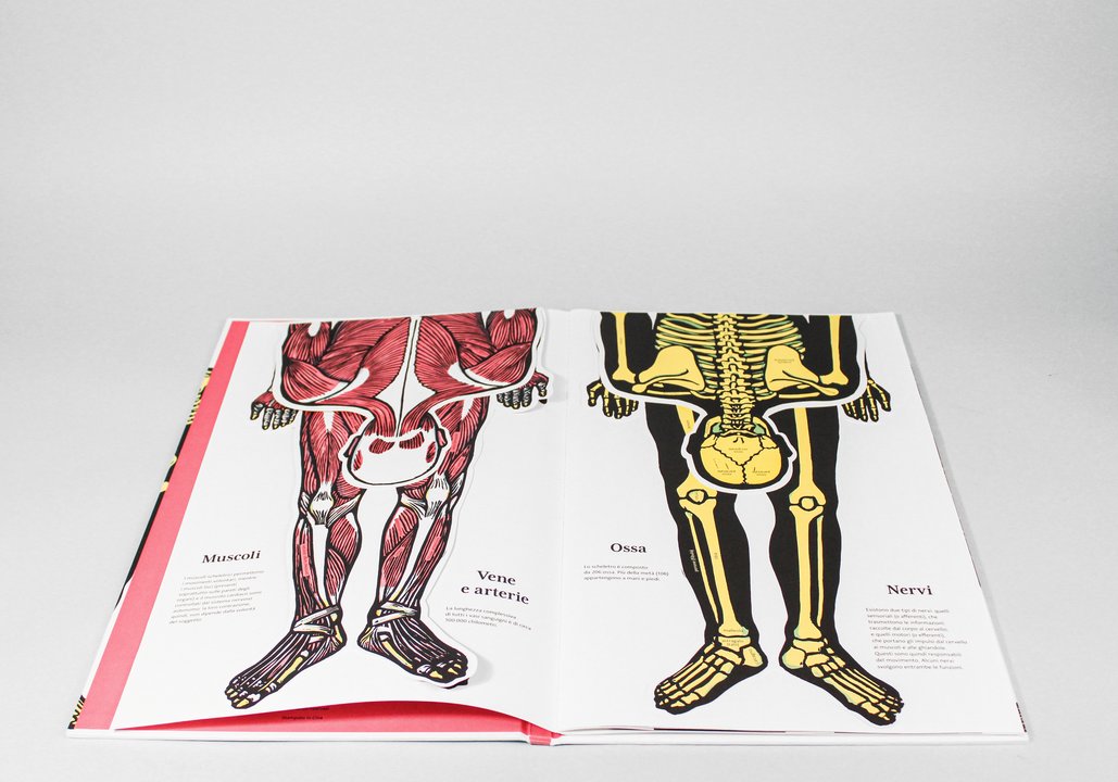 Libro "Il Corpo Umano" - Apple Pie