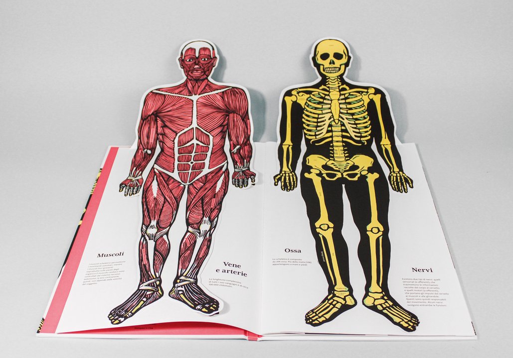 Libro "Il Corpo Umano" - Apple Pie