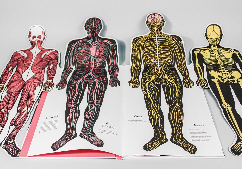 Libro "Il Corpo Umano" - Apple Pie