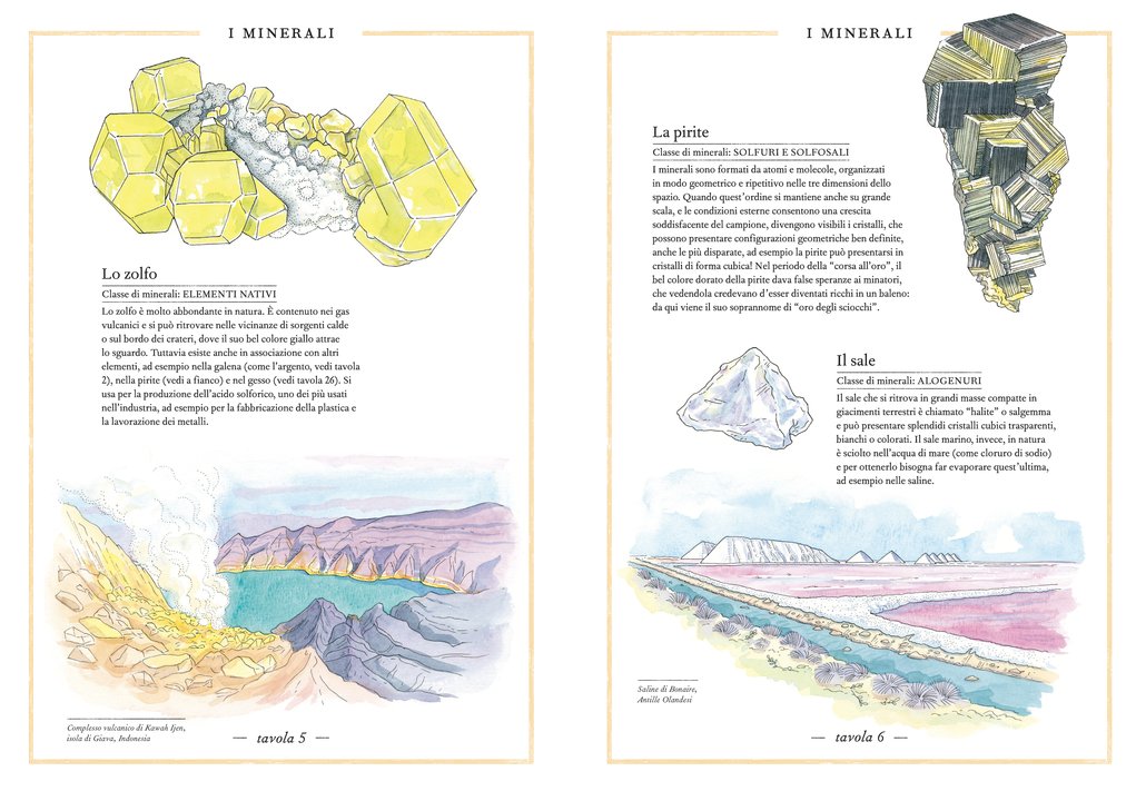 L'Ippocampo Libro "Inventario delle rocce e dei minerali" - Apple Pie